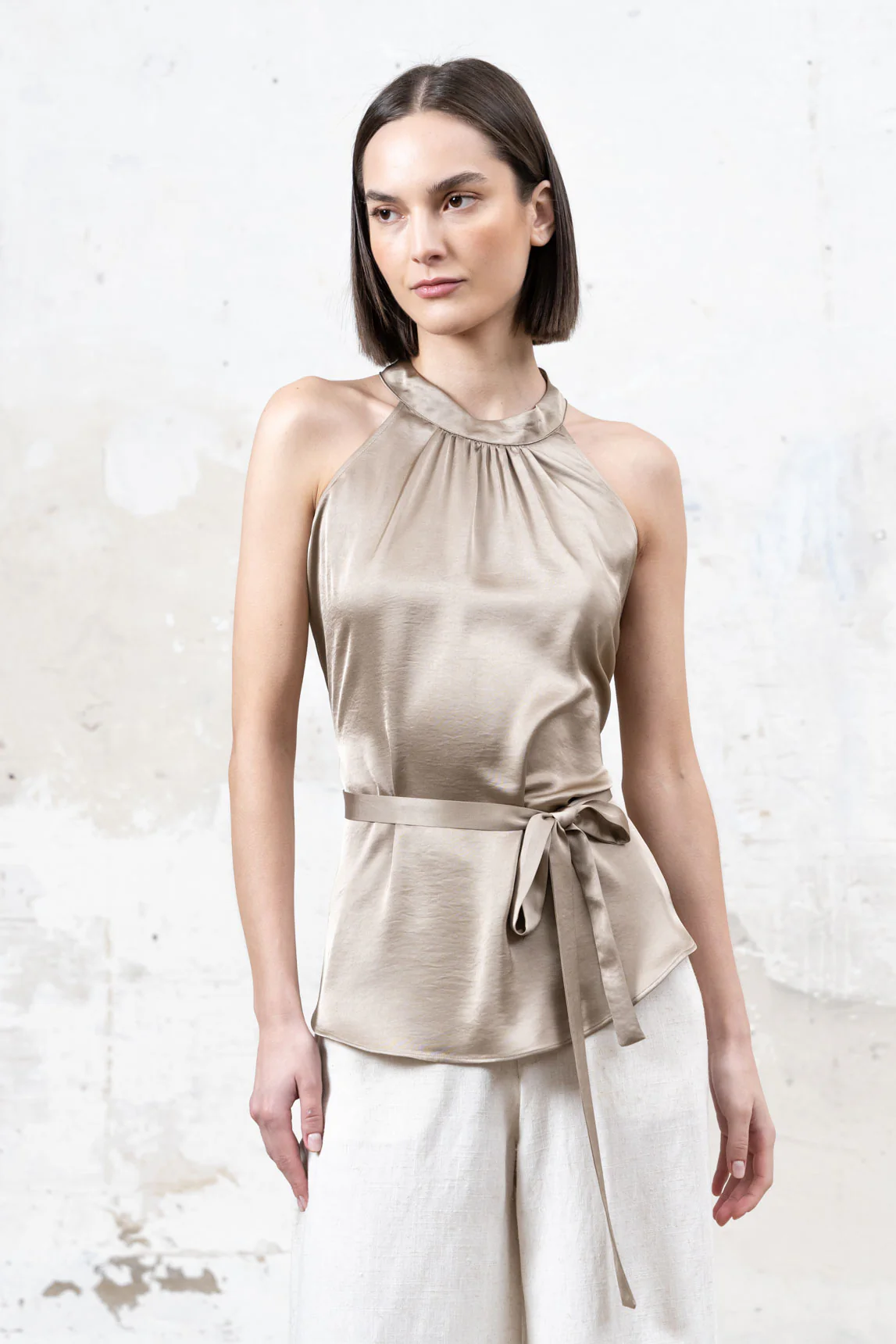 Top Allai camel